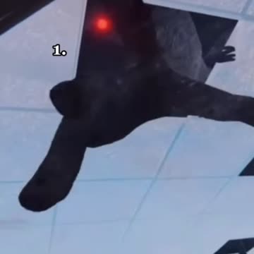 Choose your universe’s