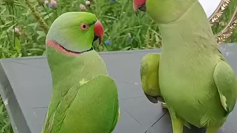 Having a very valuable conversation