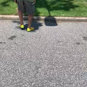 RESCUED ENDANGERED TURTLE