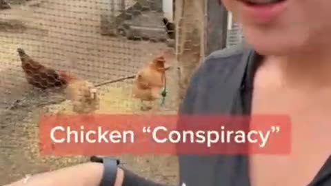 Why are the egg prices so high all across USA?