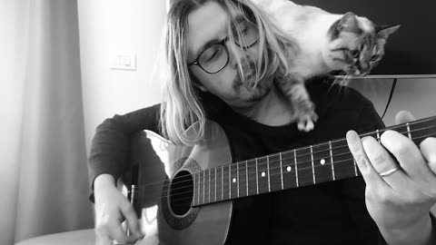 Kurt Cobain's cat