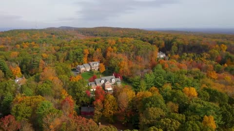 Enchanting Autumn Forests with Beautiful Piano Music