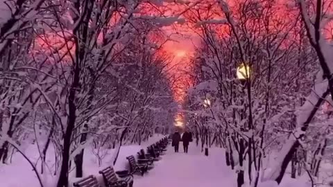 Beautiful location