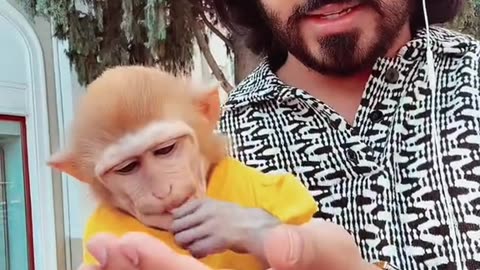 Yousif Monkey