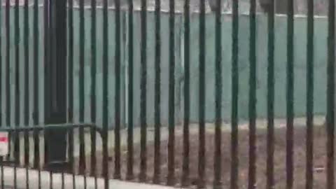 Nancy Drew Video in DC 2-16-22