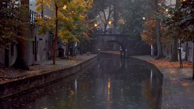 "What kind of people do you think would like this kind of atmosphere"