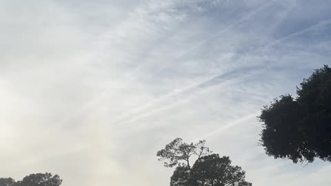 John Kerry tell us about spraying !