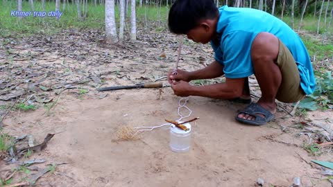 Simple Harmless Wild Cat Trap using Nets!