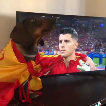 A loyal fan 😁🥰