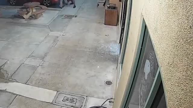 Criminal real camera