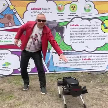 Streetcode Production robot dogs