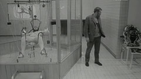 Przekładaniec 1968r
