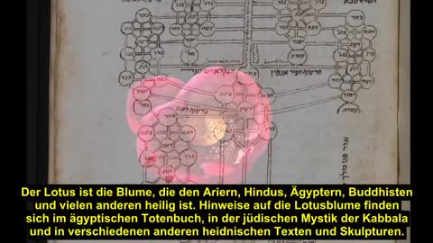 Symbolik der Lotusblüte