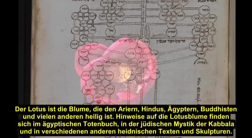 Symbolik der Lotusblüte