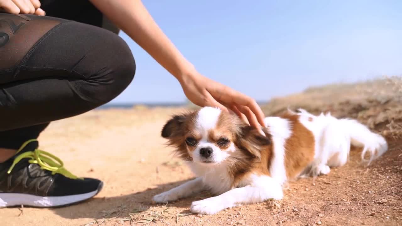 Young adult woman spending vacation day with little dog