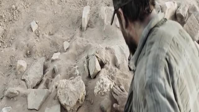 Funny video you can't stop laugh