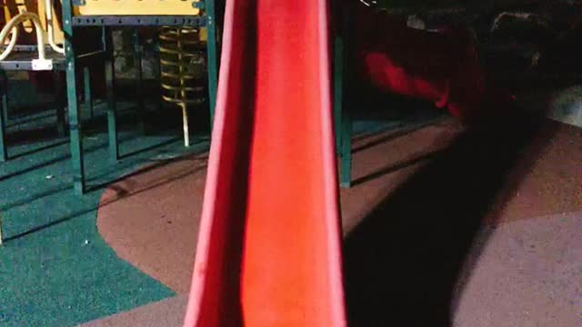 A puppy on a slide