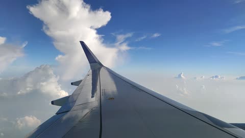 The Left Wing Of An Airplane On Flight