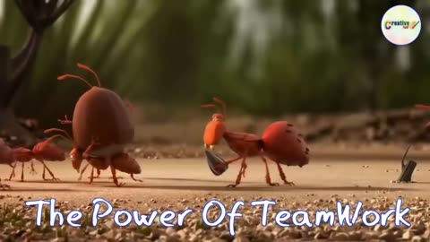 Team work