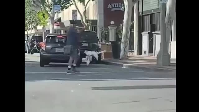 Walking Goose