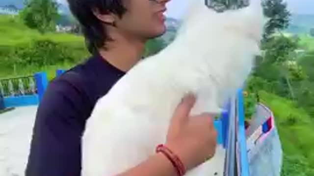 ALAMIN64 / shorts video,baby video,dog video