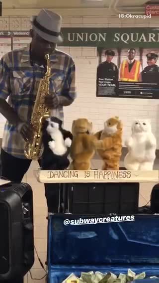 Man in hate saxophone stuffed animals dance