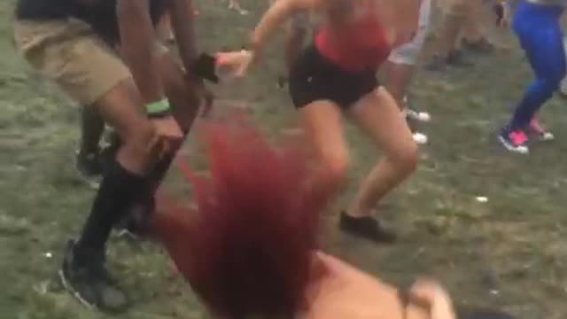 Collab copyright protection - my friends are a zoo