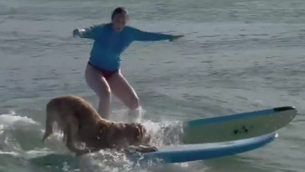 Imagine struggling to learn surfing and this dude passes you