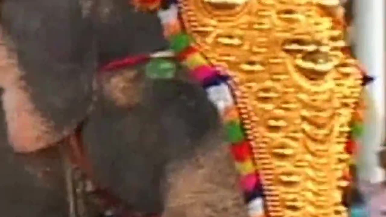 വെള്ളി കെട്ടിയ വാലുള്ള പൂവാലൻ..ബാബു നമ്പുതിരിയുടെ സ്വന്തം ശേഖരൻ