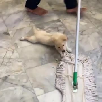 Helping in house cleaning is always fun