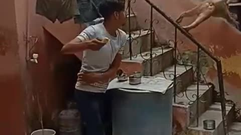 An Indian boy slaps monkey prank