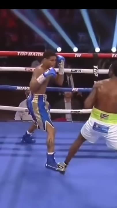 Shakur Stevenson- CHECK HOOKS