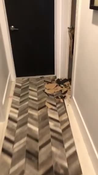 My dog said “No locked door in my house” 😄