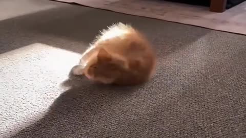 My little cute monster
