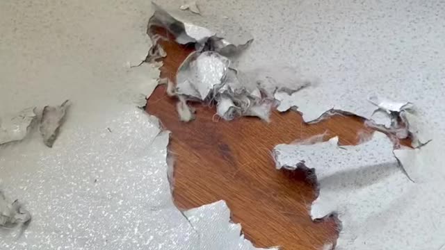 Why are you so scared