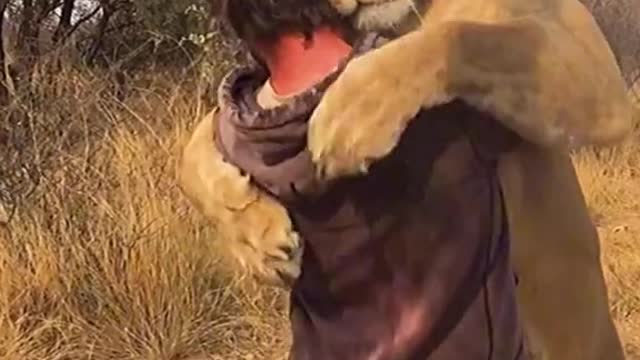 Human vs lion, bestfriends??