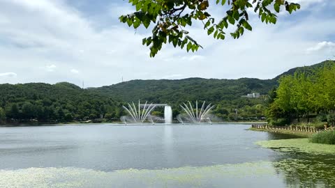 lake view | fountain show