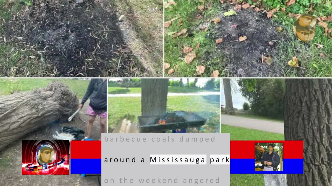 Barbecue coals dumped at base of trees in a Mississauga park