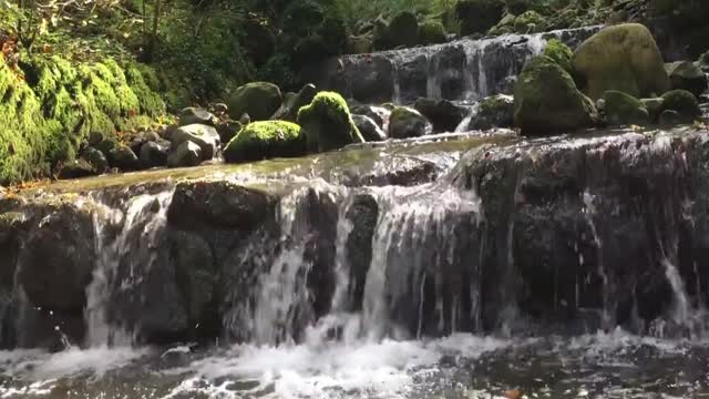 Relaxing Nature Sounds | Peaceful Waterfall Sounds - White Noise for Sleep, Relaxation😊15 Min Nature