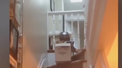 kid falls downstairs in box