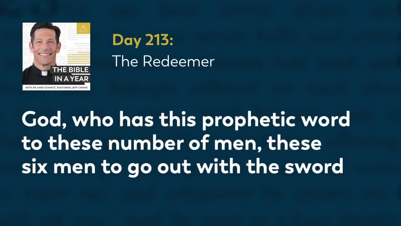 Day 213: The Redeemer — The Bible in a Year (with Fr. Mike Schmitz)