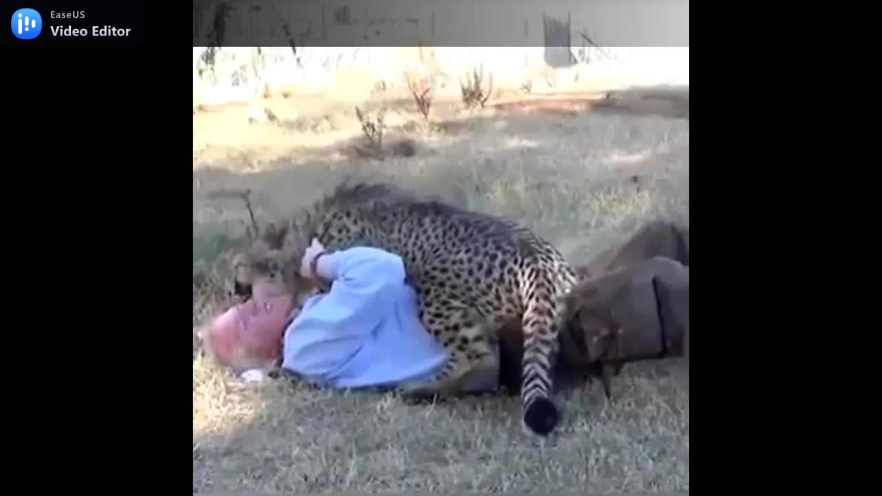 WILD ANIMALS PETS LOVERS ARE SPREADING THEIR LOVES.mp4