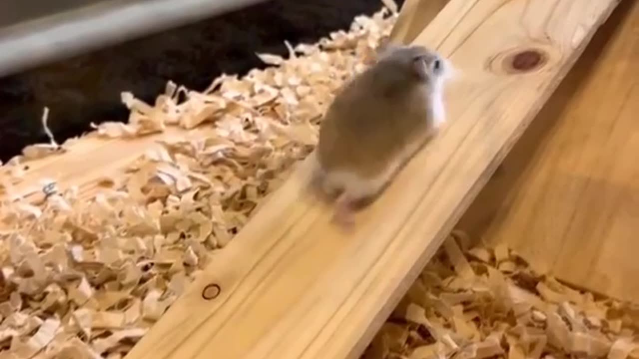 Traction control activated 😂