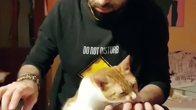 Good morning - dobré ráno