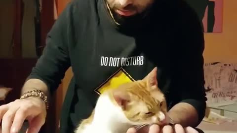 Good morning - dobré ráno