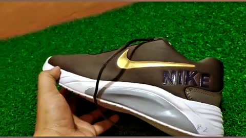 Nike Stylish Trending Shoes