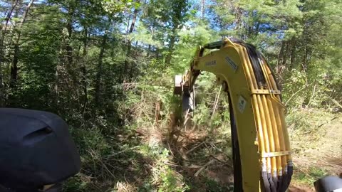 Yanmar Vio80 Excavator Pulling Vines, Weeds and Trees