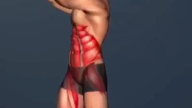 #fitness_trainer_in_kuwait