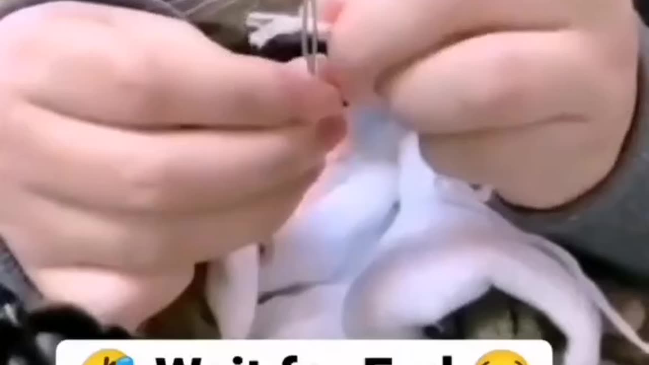 Slam