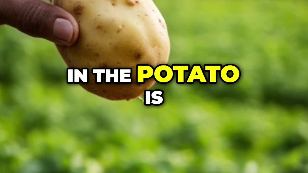 Can you prevent cancer by eliminating certain foods_ ๐๐ซ๐ฌ